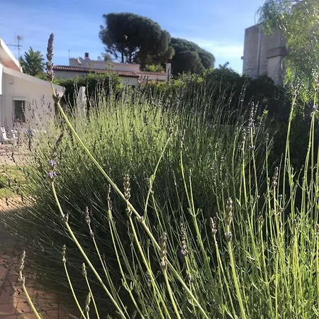 Villa Aurora E Oceano Fontane Bianche